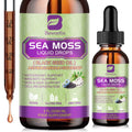 Premium Sea Moss Liquid Drops with Black Seed Oil & Ashwagandha - 6X Strength Immunity Support