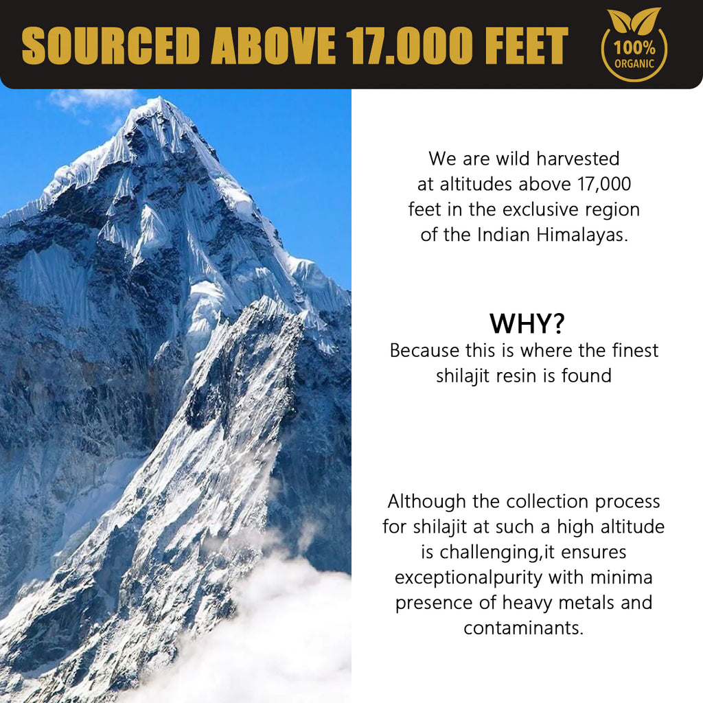 Pure Himalayan Shilajit Resin 30g - Natural Energy & Vitality Booster