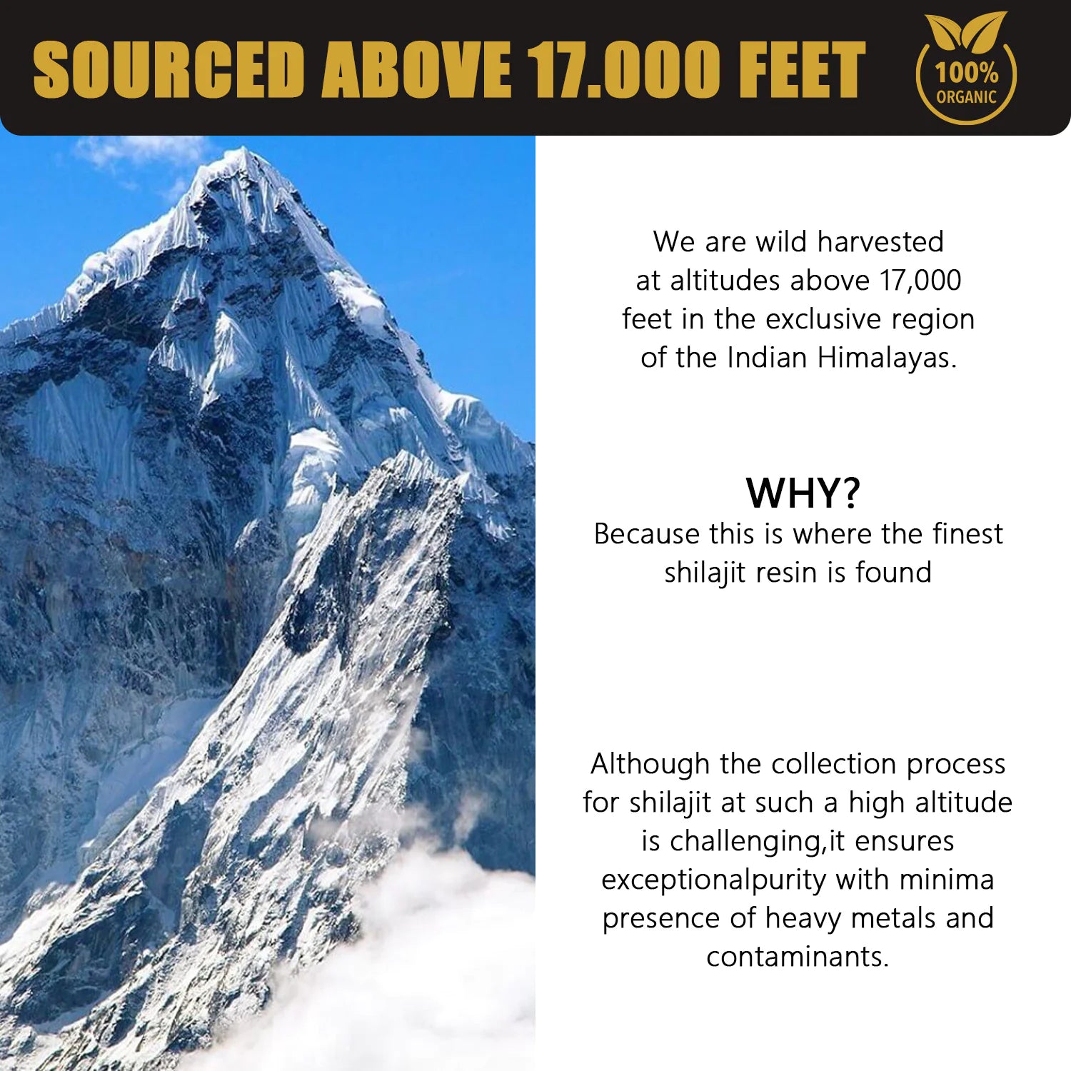 Pure Himalayan Shilajit Resin 30g - Natural Energy & Vitality Booster